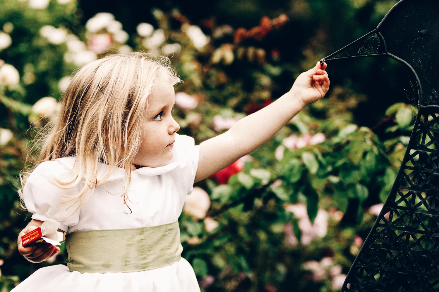 Wedding Photography New Zealand-8398.jpg