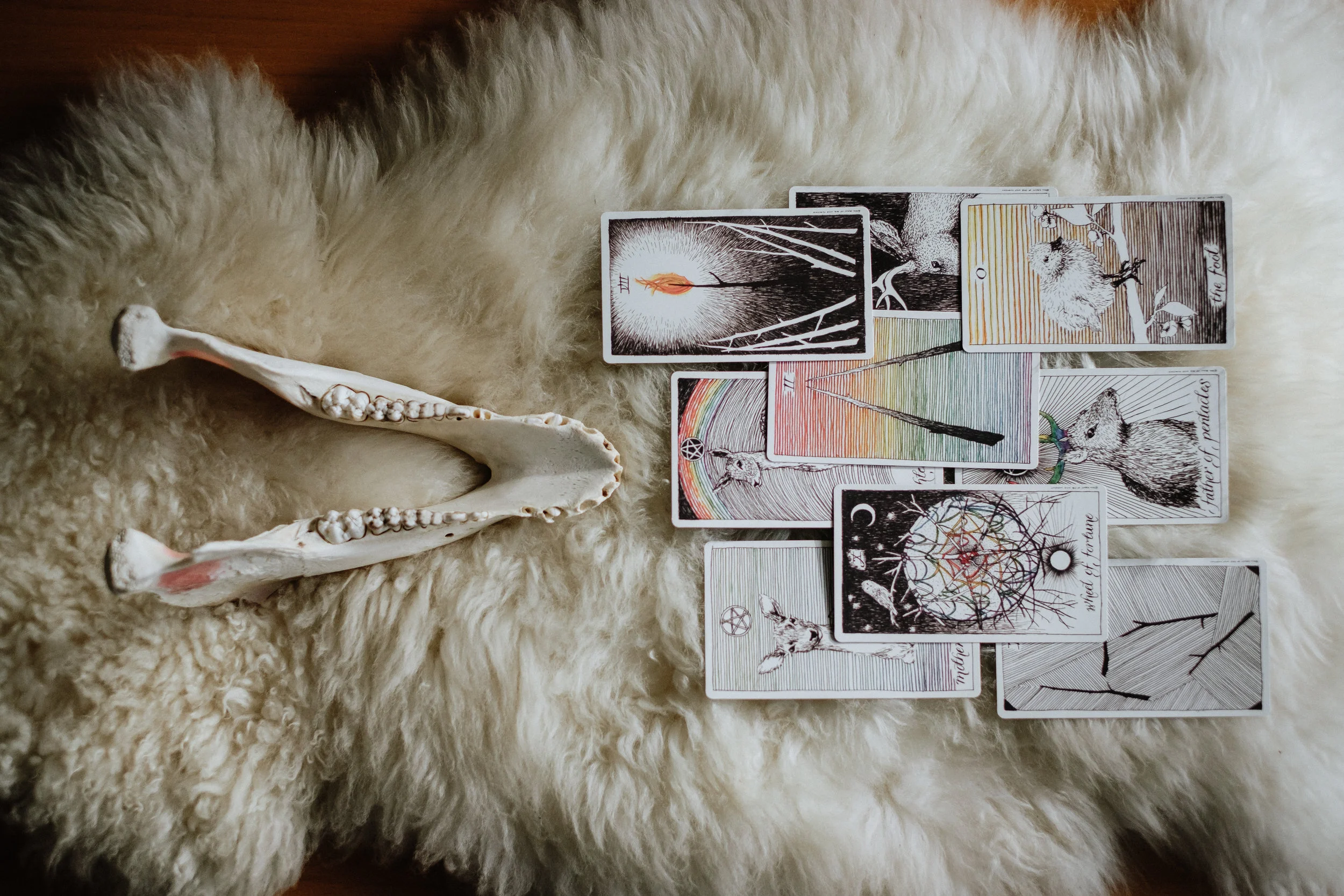 ©shawnastanley2018-12.jpg