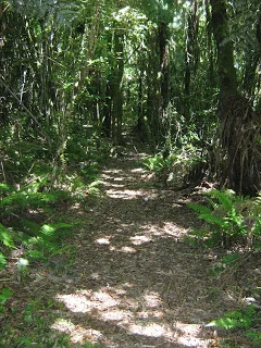 145.jpg