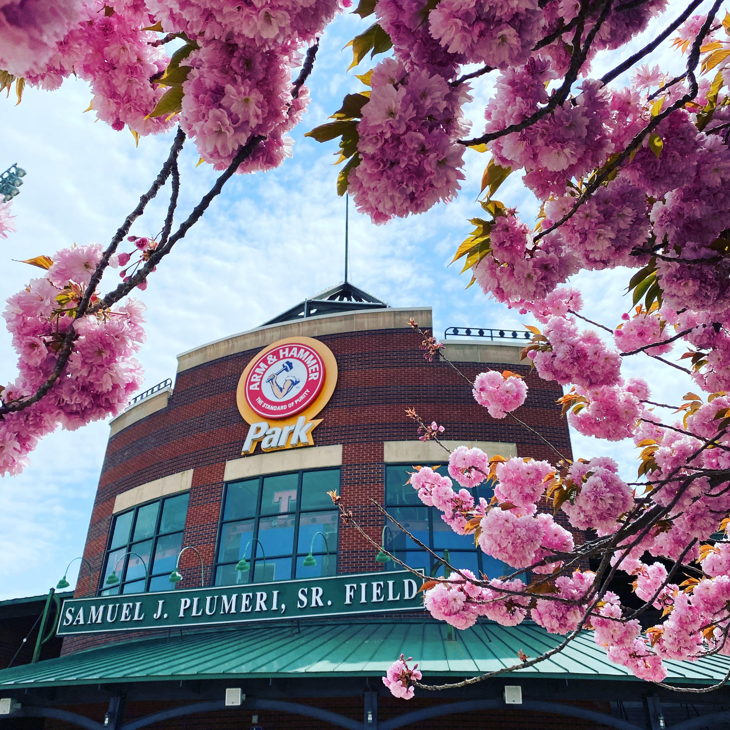 Trenton Thunder