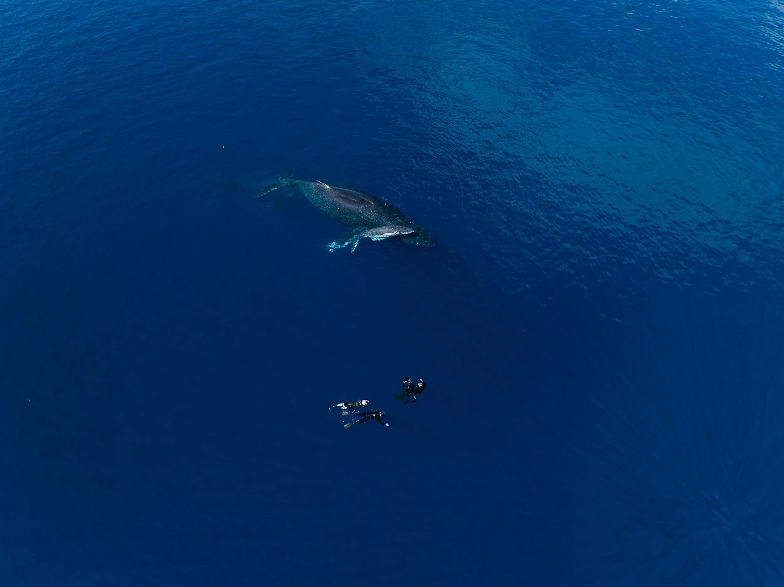 20230810-KARIM-ILIYA-DRONE-0067.jpg