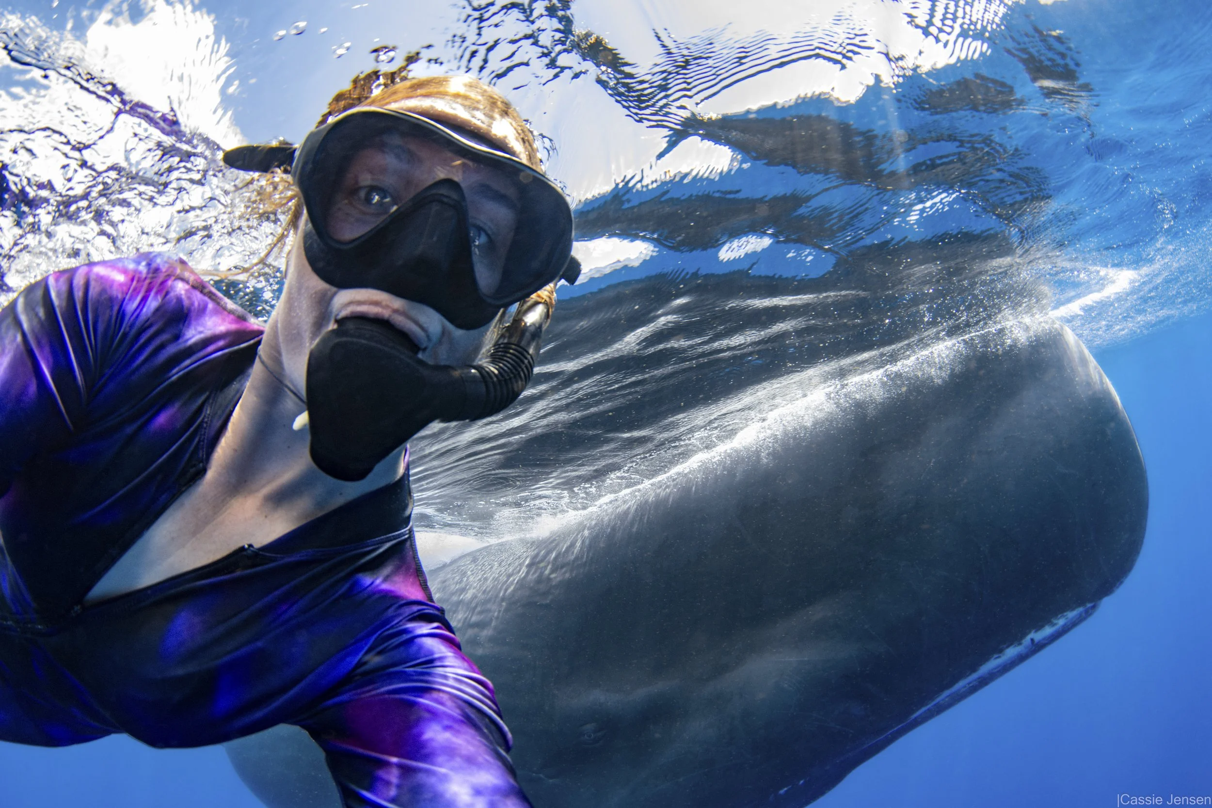 Cassie Spermwhale Selfie.jpg