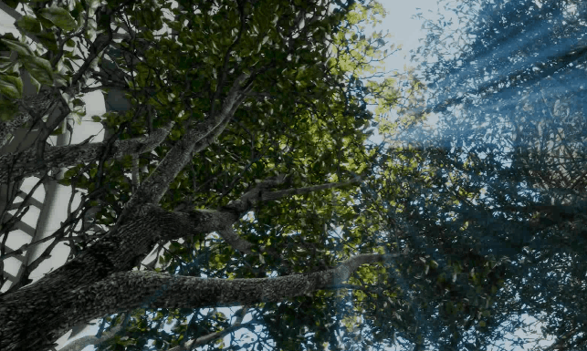 vr 封面.gif