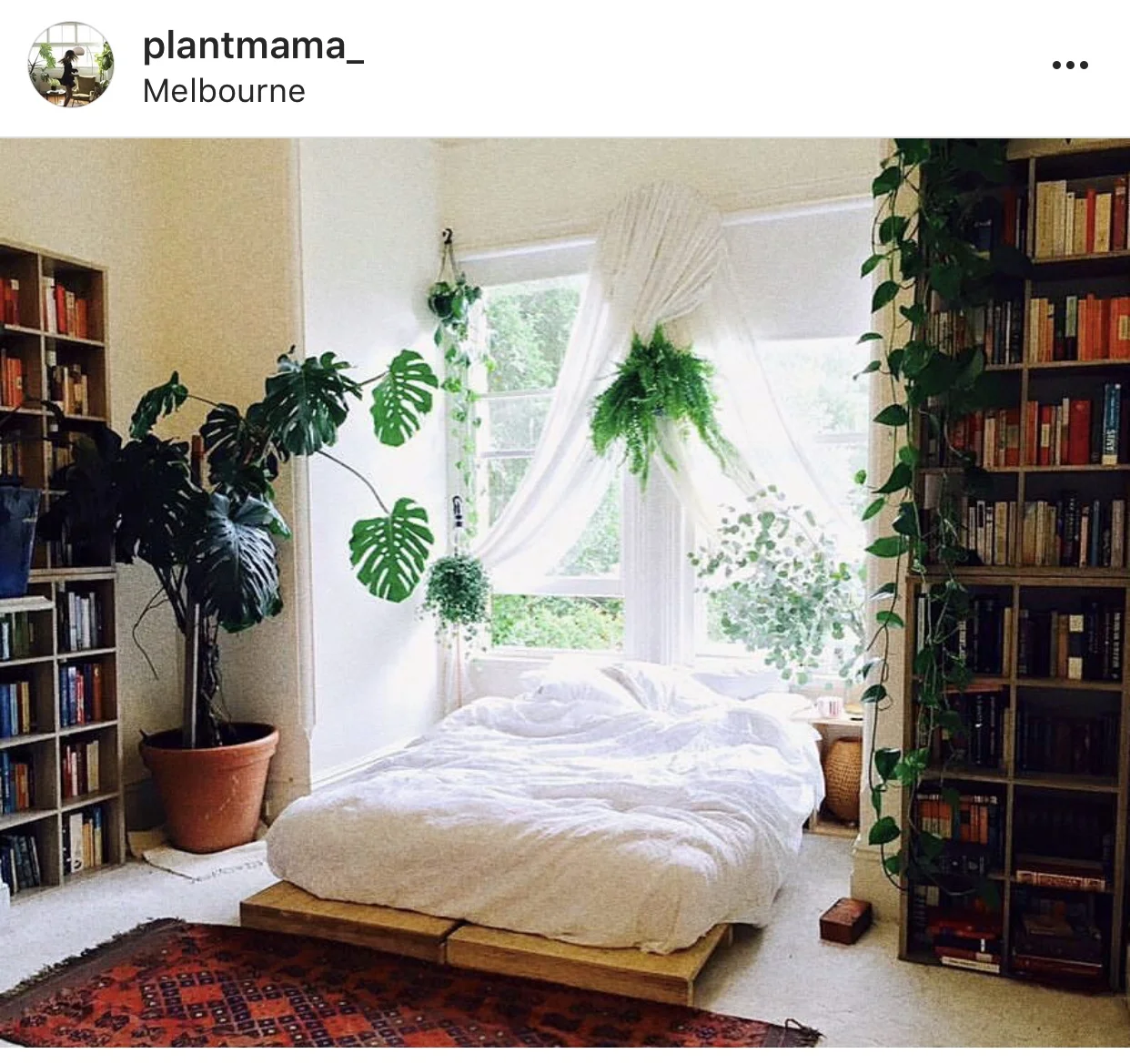 Well on the way to jungle bedroom goals. As long as a bug doesn't fall in my mouth while I'm sleeping, we're good. Photo by Plant Mama