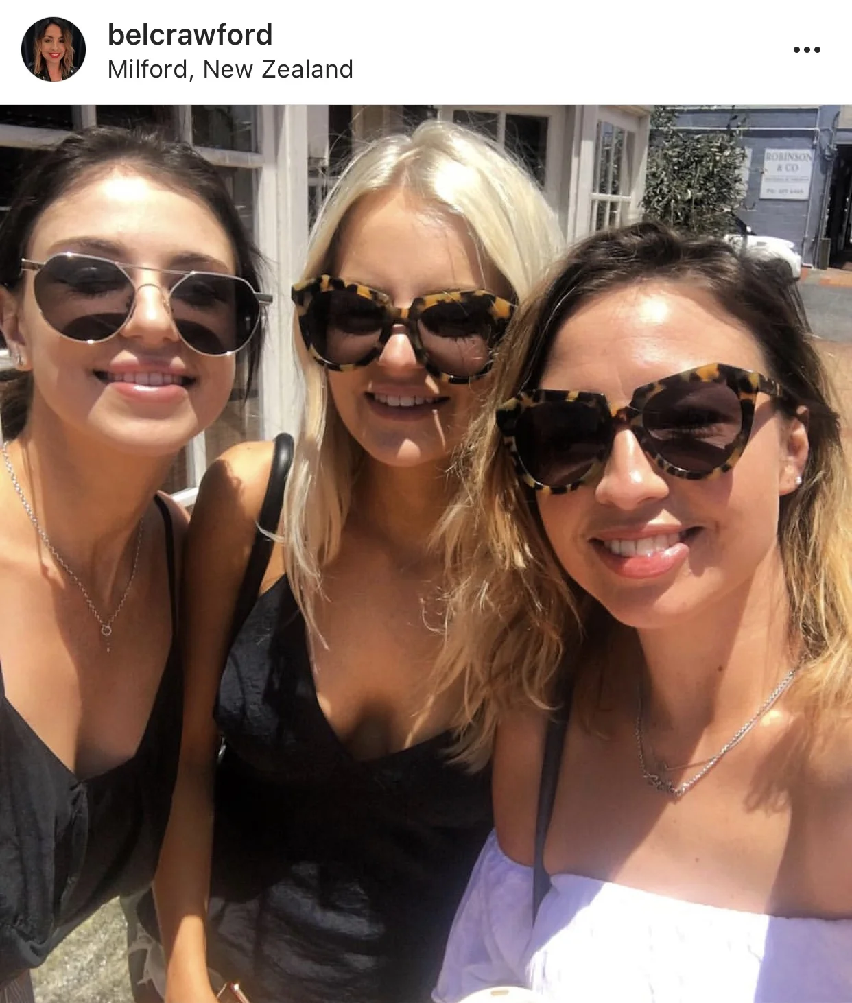 kwsunnies.jpg