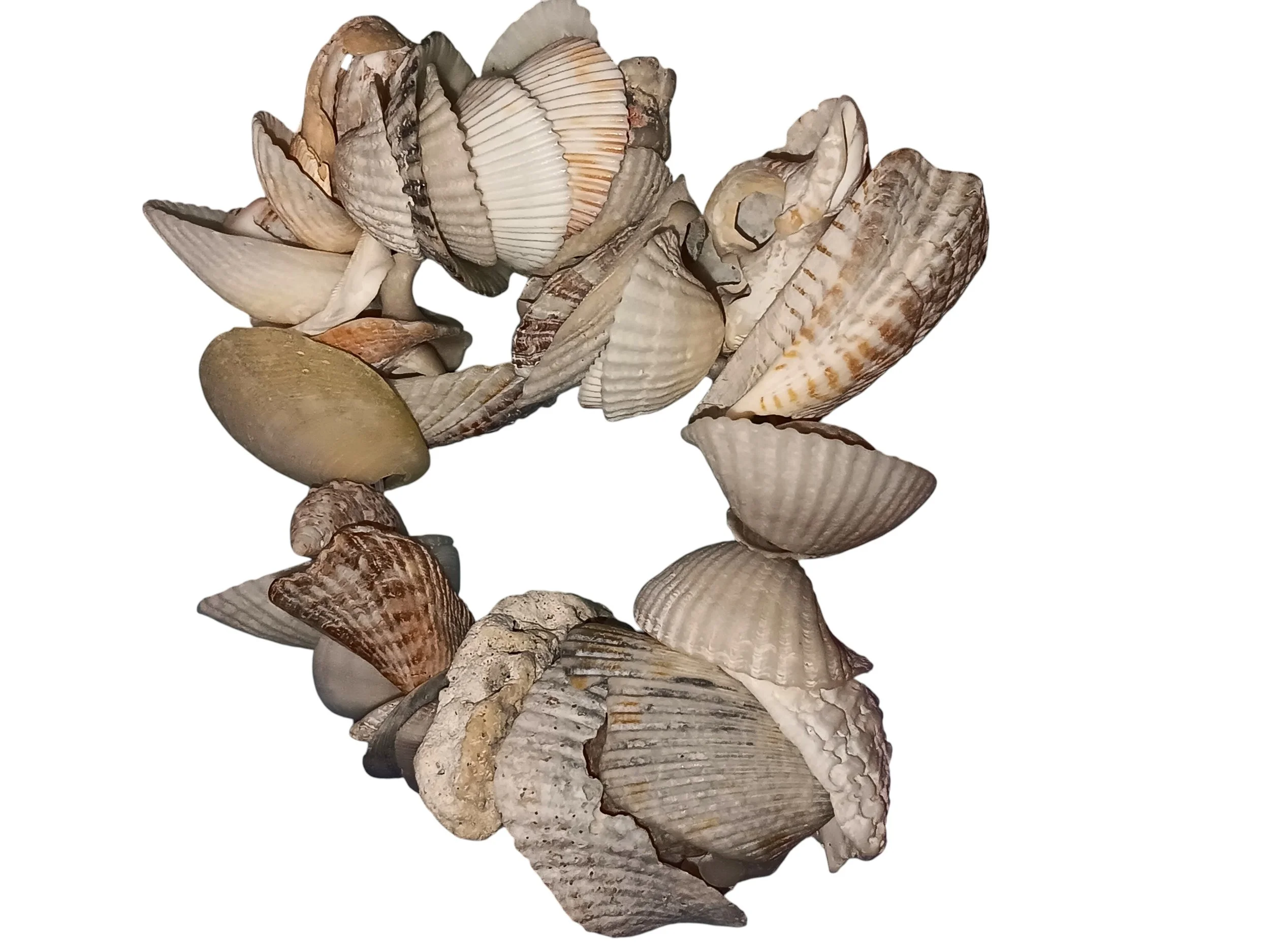 20250903_142711 (1).jpg