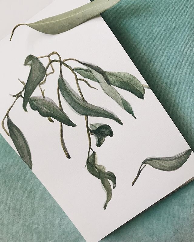 A #blindcontourdrawing is done by drawing the contours of a subject without looking down at the paper or your hand. I like them because they have a loose abstract #picasso feel.
.
This #stilllifepainting of #eucalyptusleaves started out as a #blindco
