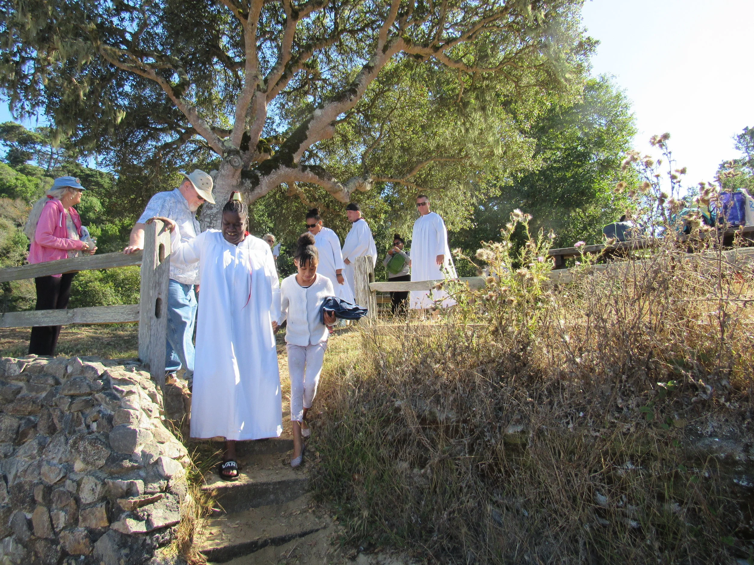 Baptism at Heart's Desire Beach