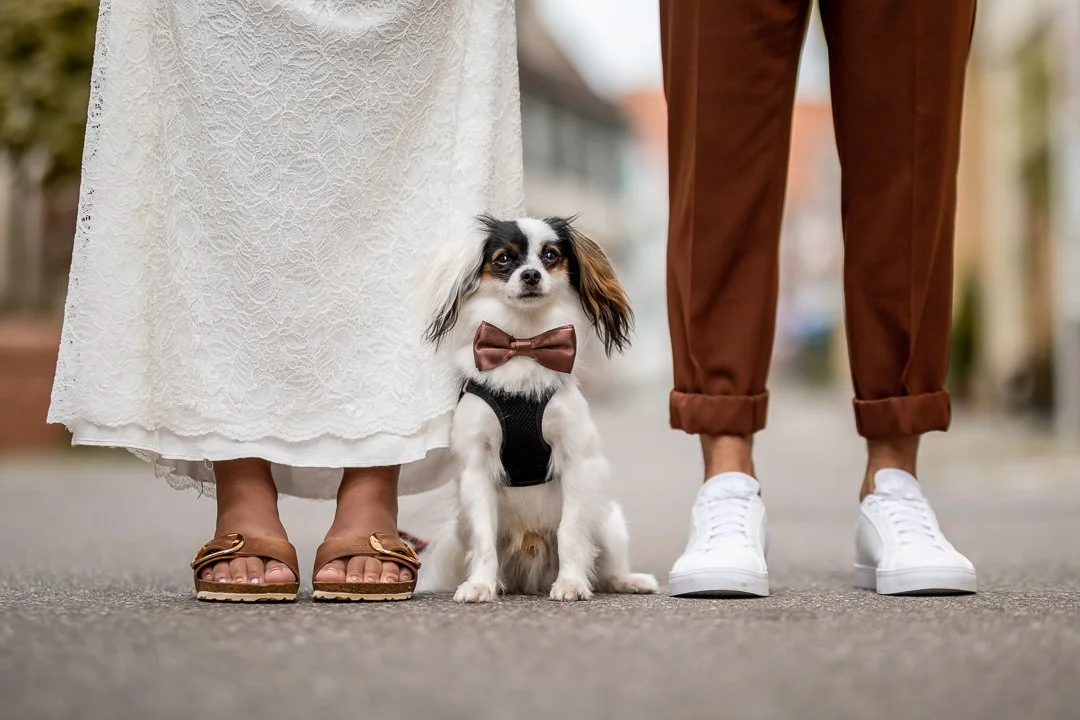 20717210_2021-08-19 10-41-41 5Q8A6985.jpg