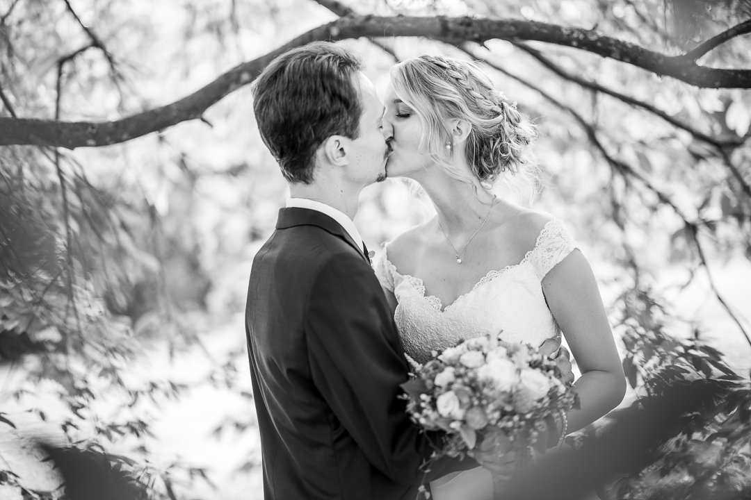 36793663_2019-07-27 12-01-03 100A9321.jpg