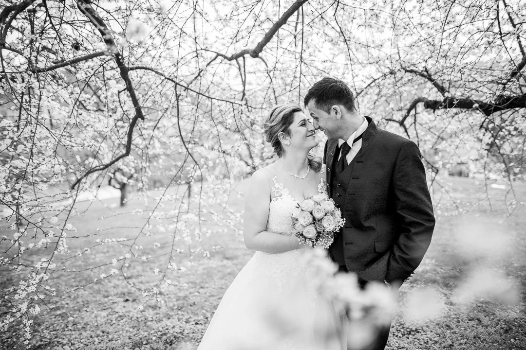 38812816_2019-04-06 12-47-18 100A7040.jpg