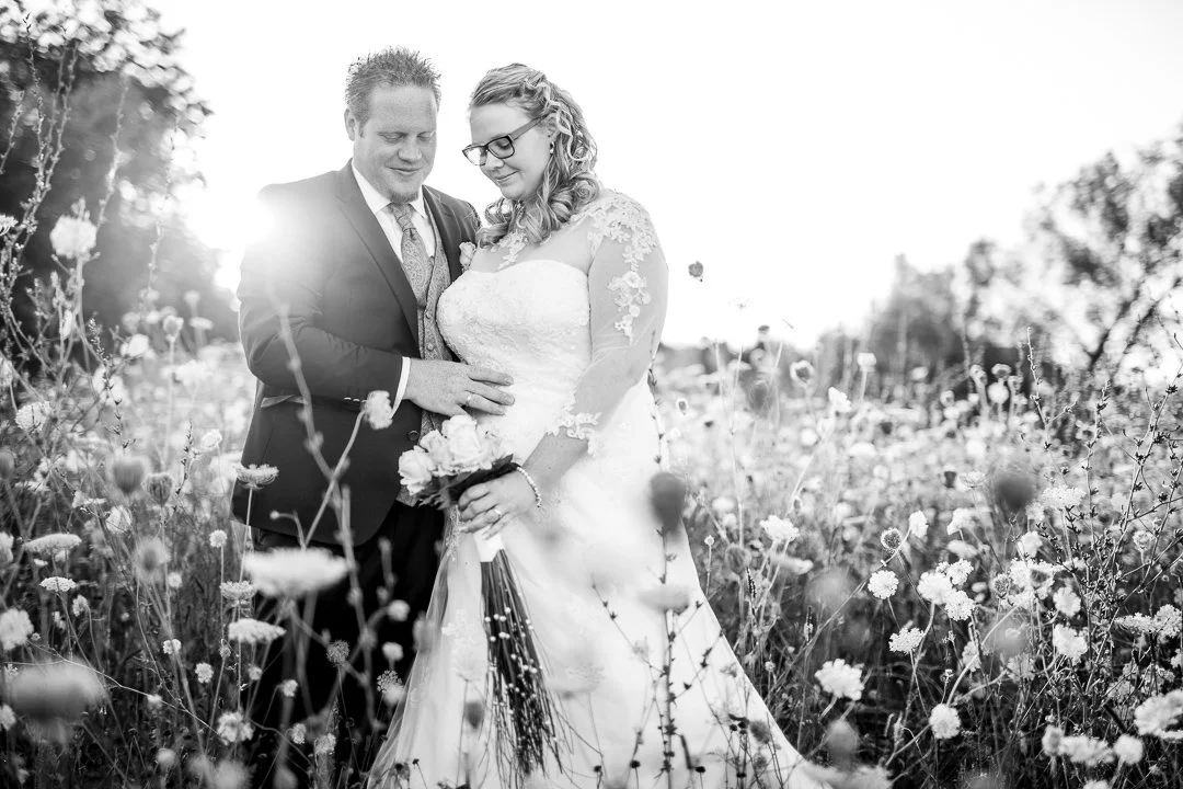 62405125_2018-07-26 20-13-43 1R6A1247_.JPG