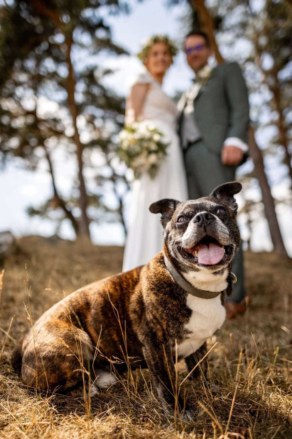 17082310_2025-07-04 12-02-20_144A0340.jpg