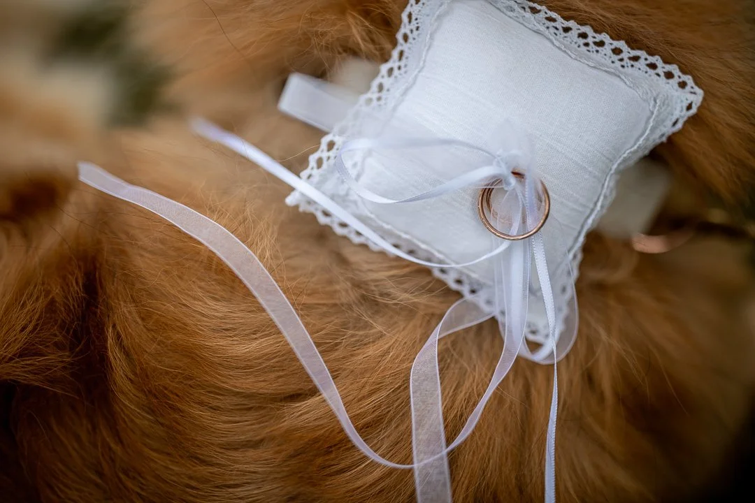 13683115_2022-07-30 14-57-41 5Q8A1171.jpg