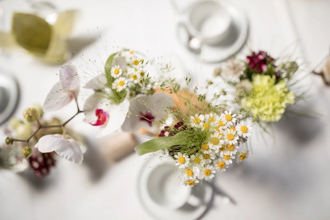 15064655_2018-06-02 14-43-10 5Q8A9380_.JPG