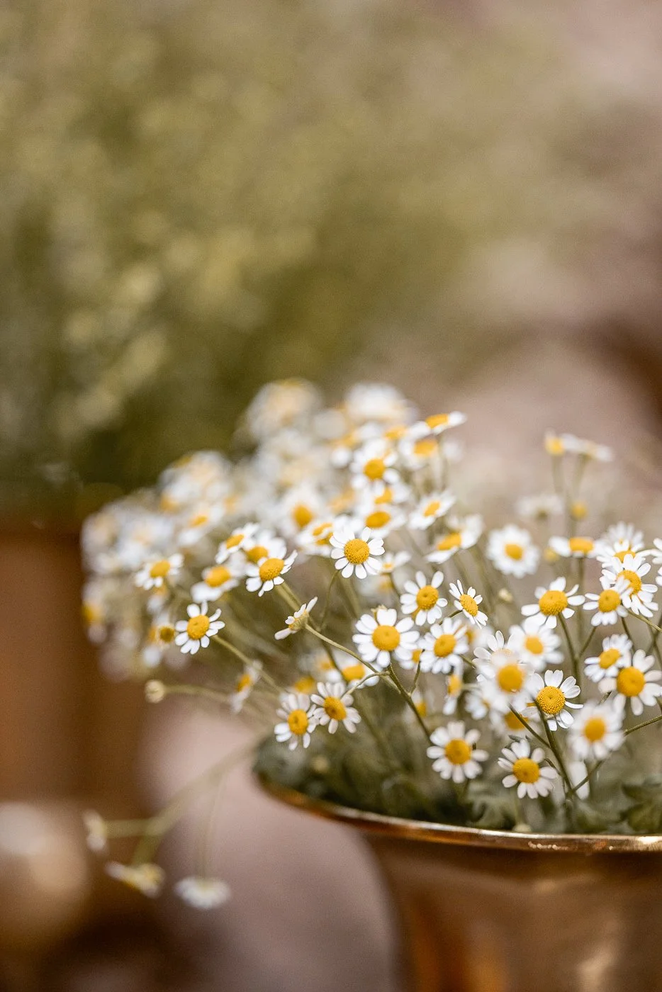 20900976_2025-06-28 13-54-30_144A8271.jpg