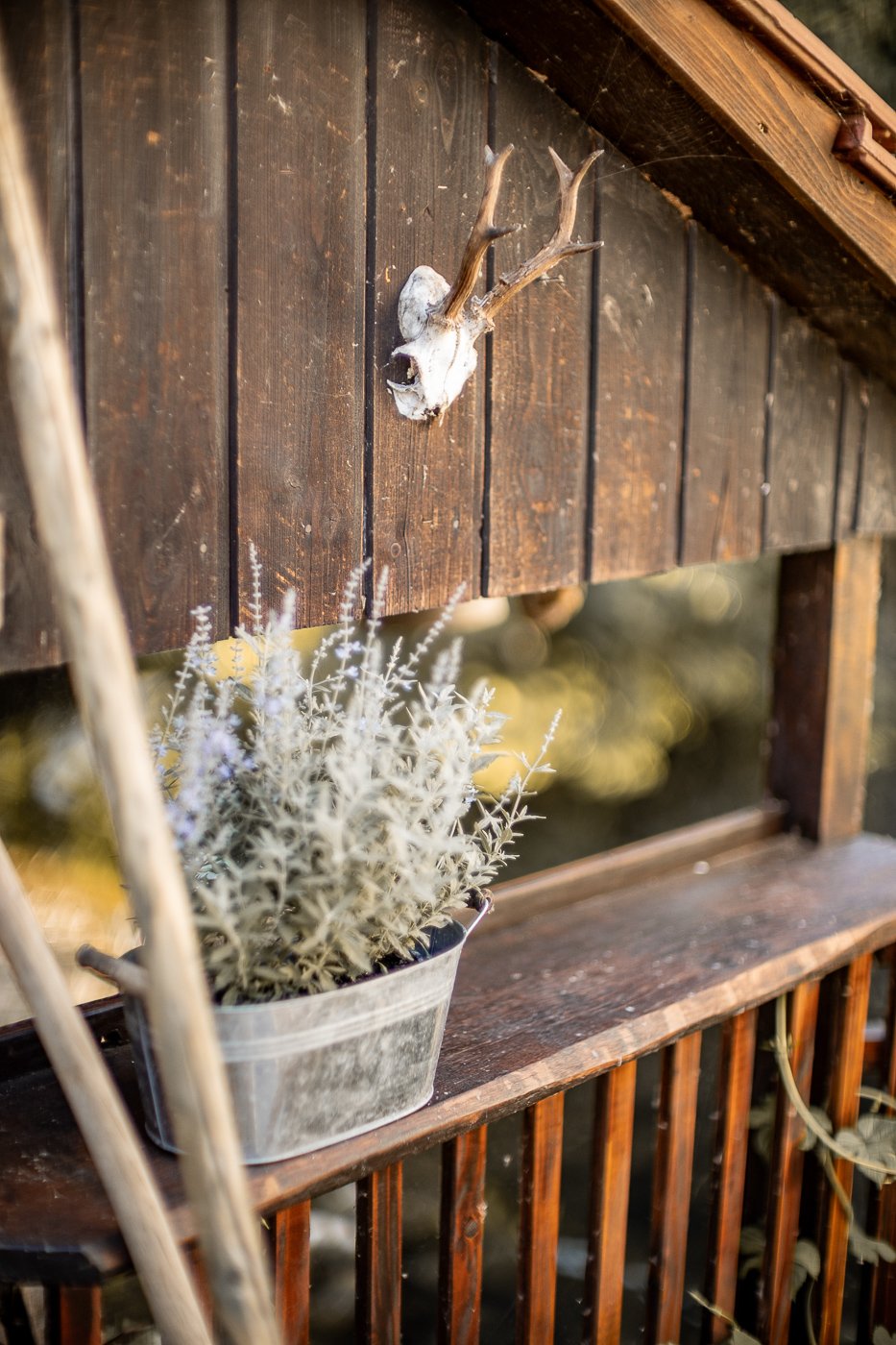 41445310_2025-06-28 19-30-21_D96A9582.jpg