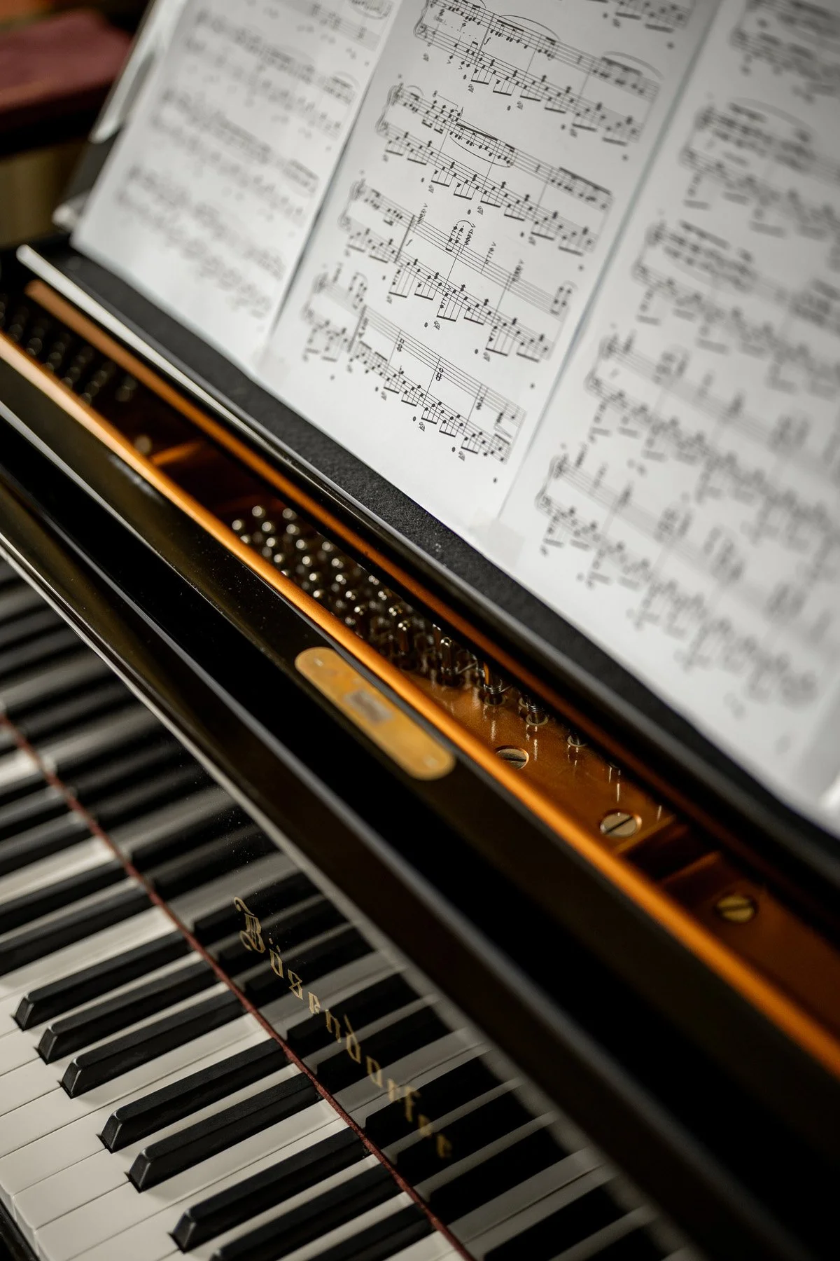 45886398_2023-10-12 14-50-01 D96A0675.jpg