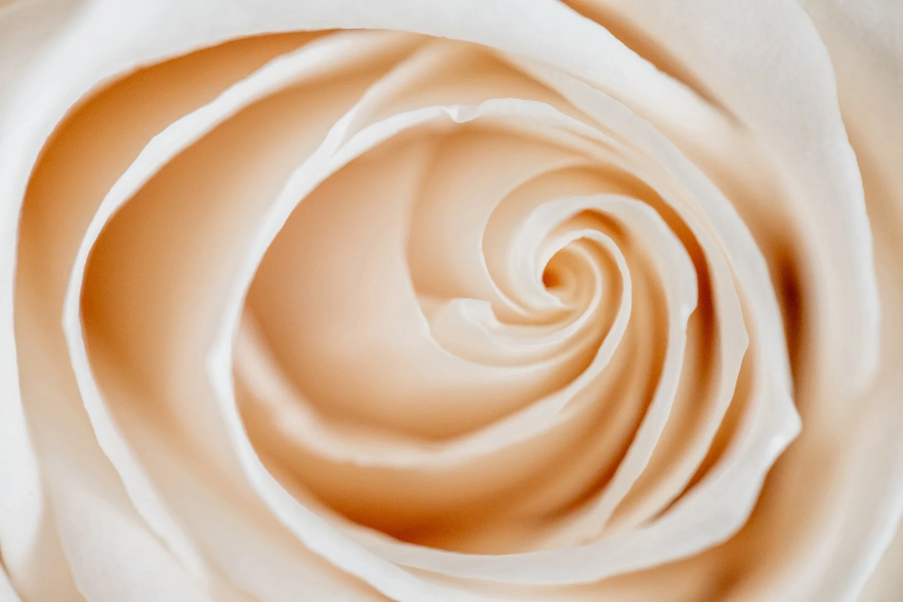 63776758_2024-06-15 20-20-56_D96A6386.jpg