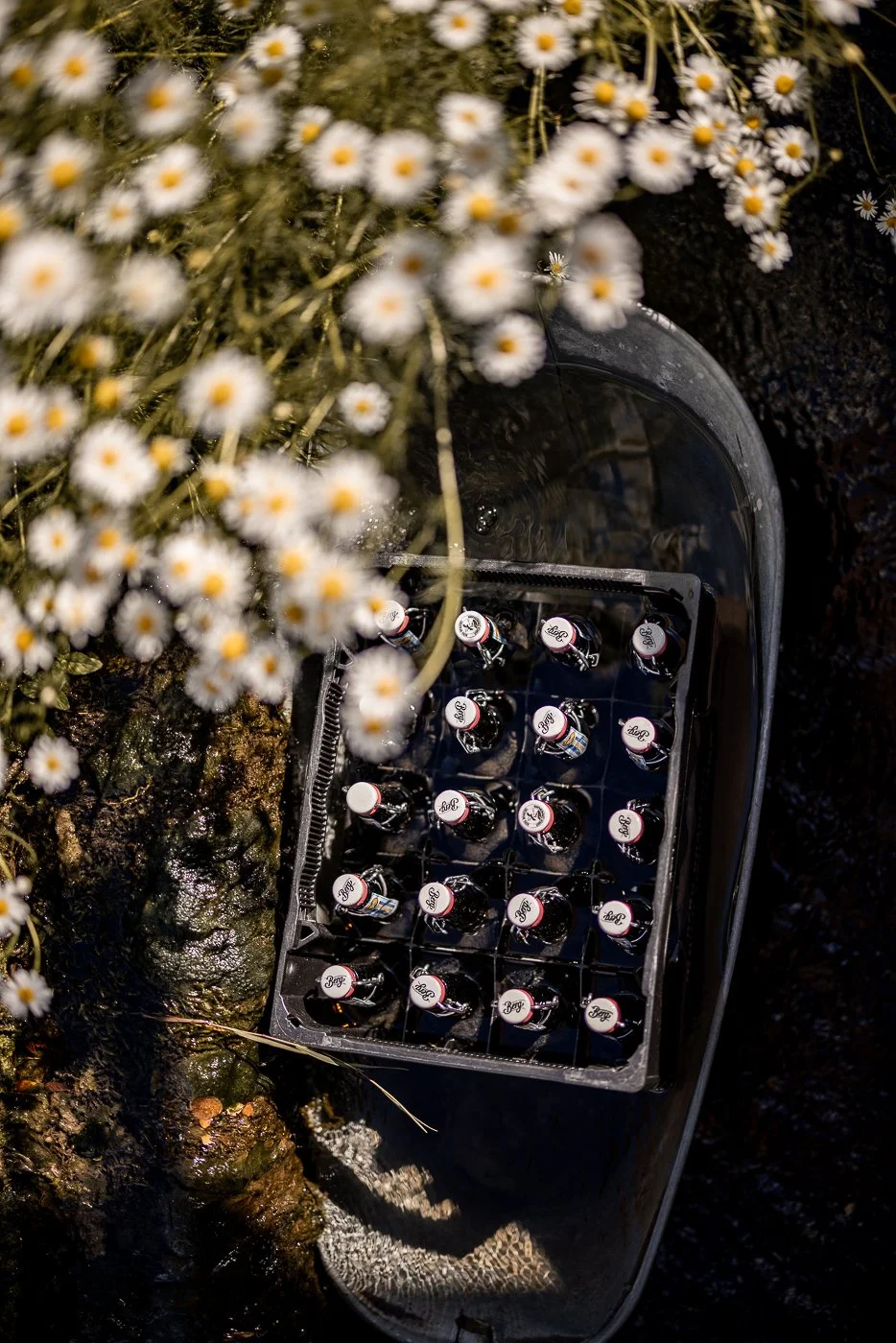 65074215_2025-06-28 17-34-59_144A8967.jpg