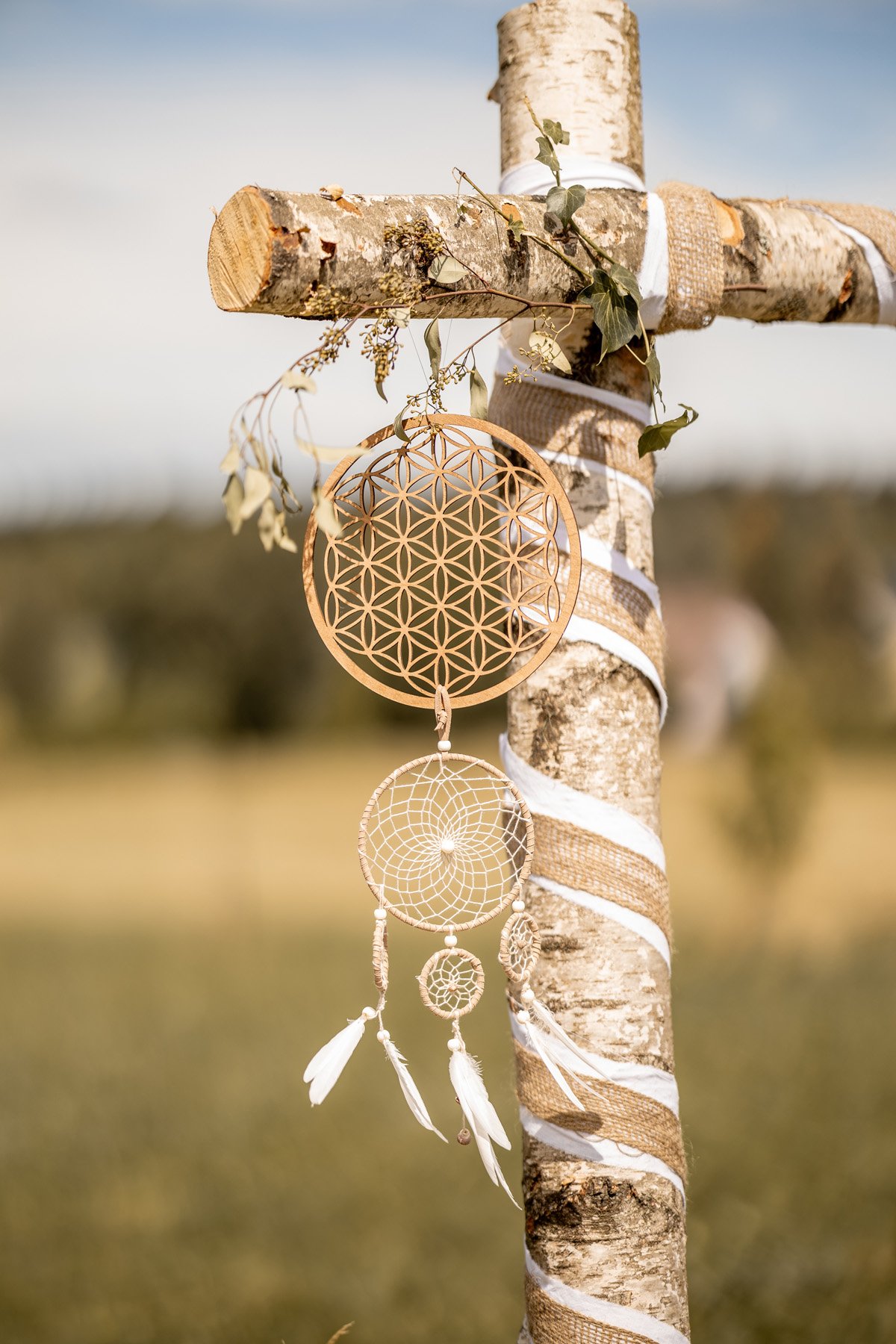 68387389_2024-08-17 13-17-11_D96A2460.jpg