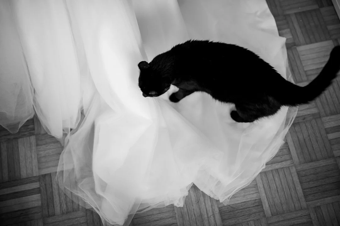 73546059_2019-09-15 10-36-28 5Q8A6939.jpg