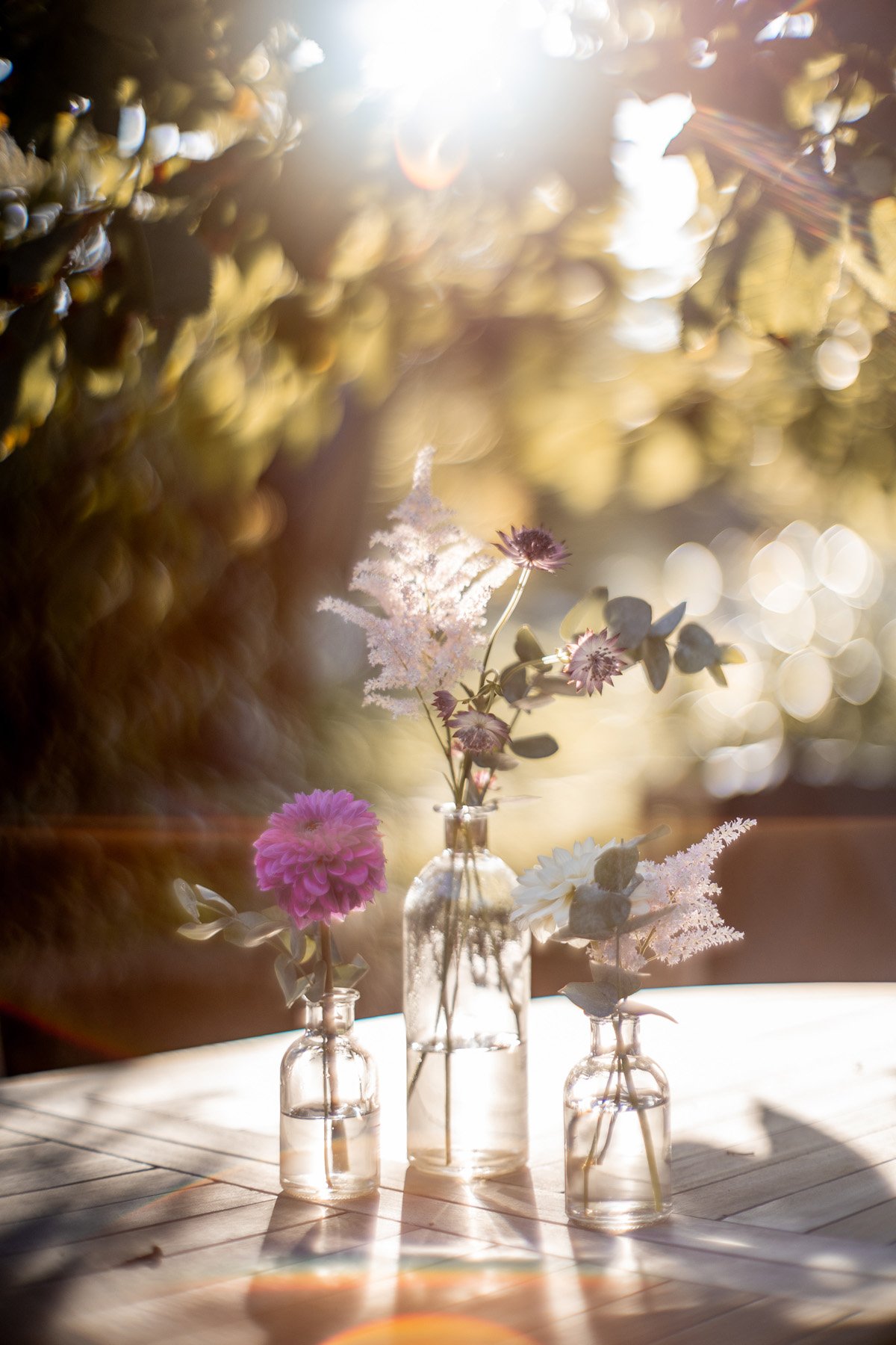 81085736_2023-09-09 18-04-57 D96A6211.jpg