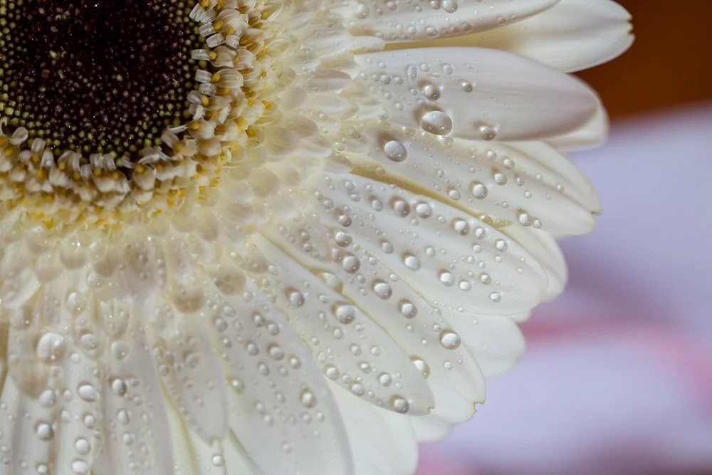 96477990_2016-09-24 14-05-37 R85A9532_.jpg