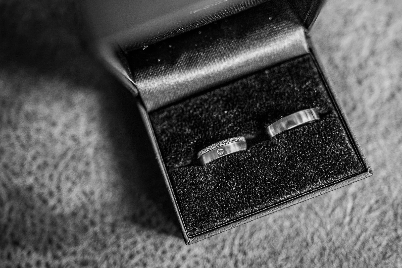 2025-11-08 11-10-43_D96A9651.jpg