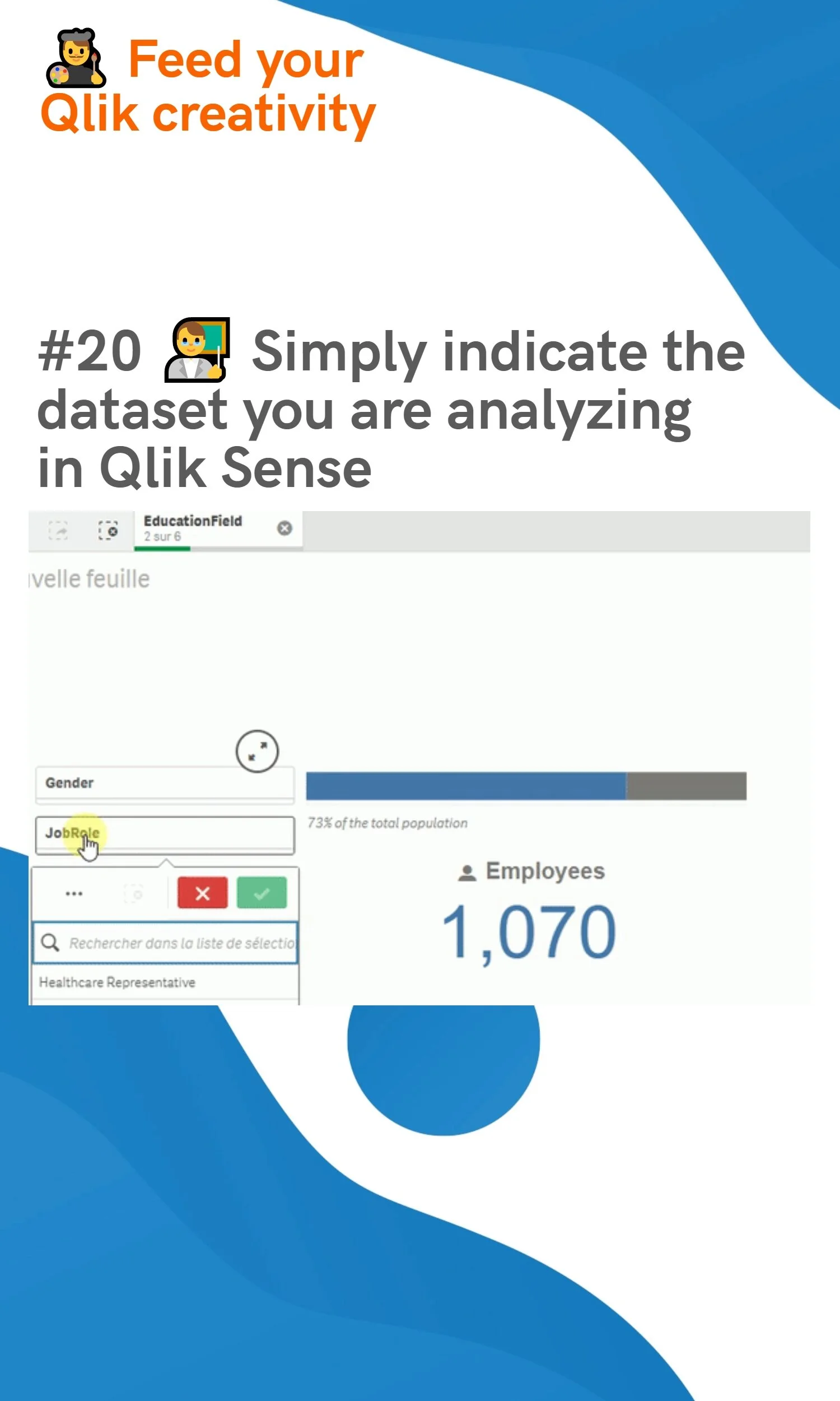 #20 👨‍🏫 Simply indicate the dataset you are analyzing in Qlik Sense