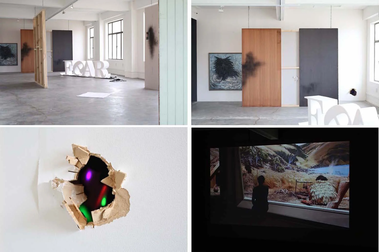Passionate Instincts Exhibition at The Physics Room, 2016.