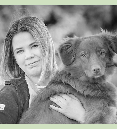 Mia Laurila Klinikkaeläinhoitaja Palvelukielet: suomi, englanti
