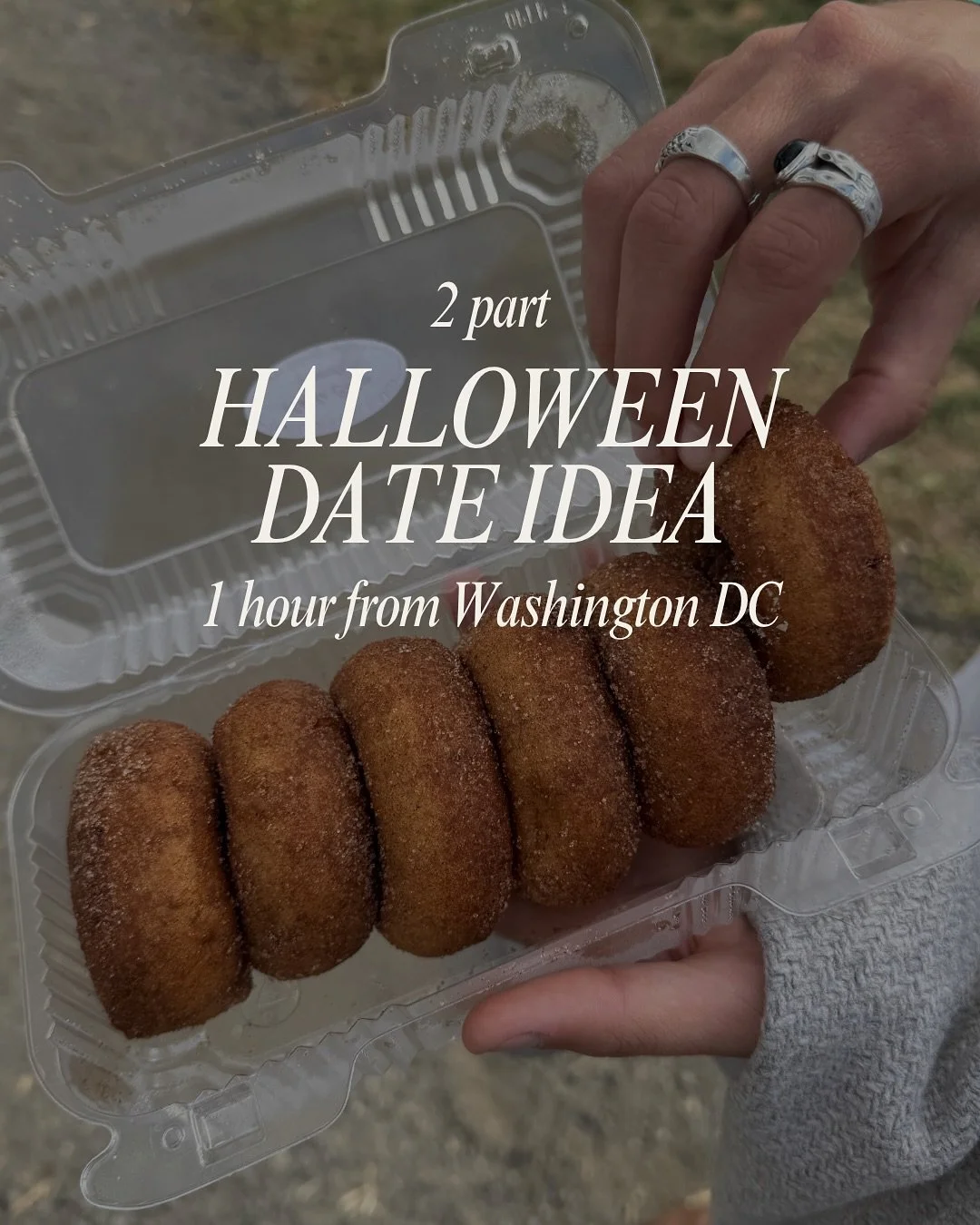 Halloween date idea only 1 hour from Washington DC 🧡🎃👻

Stop 1: @butlersorchard for hot apple cider donuts, pumpkin picking, hay rides, corn maze, pumpkin canon, live music, cider, bbq &amp; more. Make sure to stop by the market for all kinds of t
