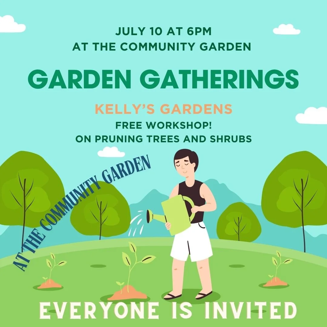 Free Workshop: Pruning Trees and Shrubs