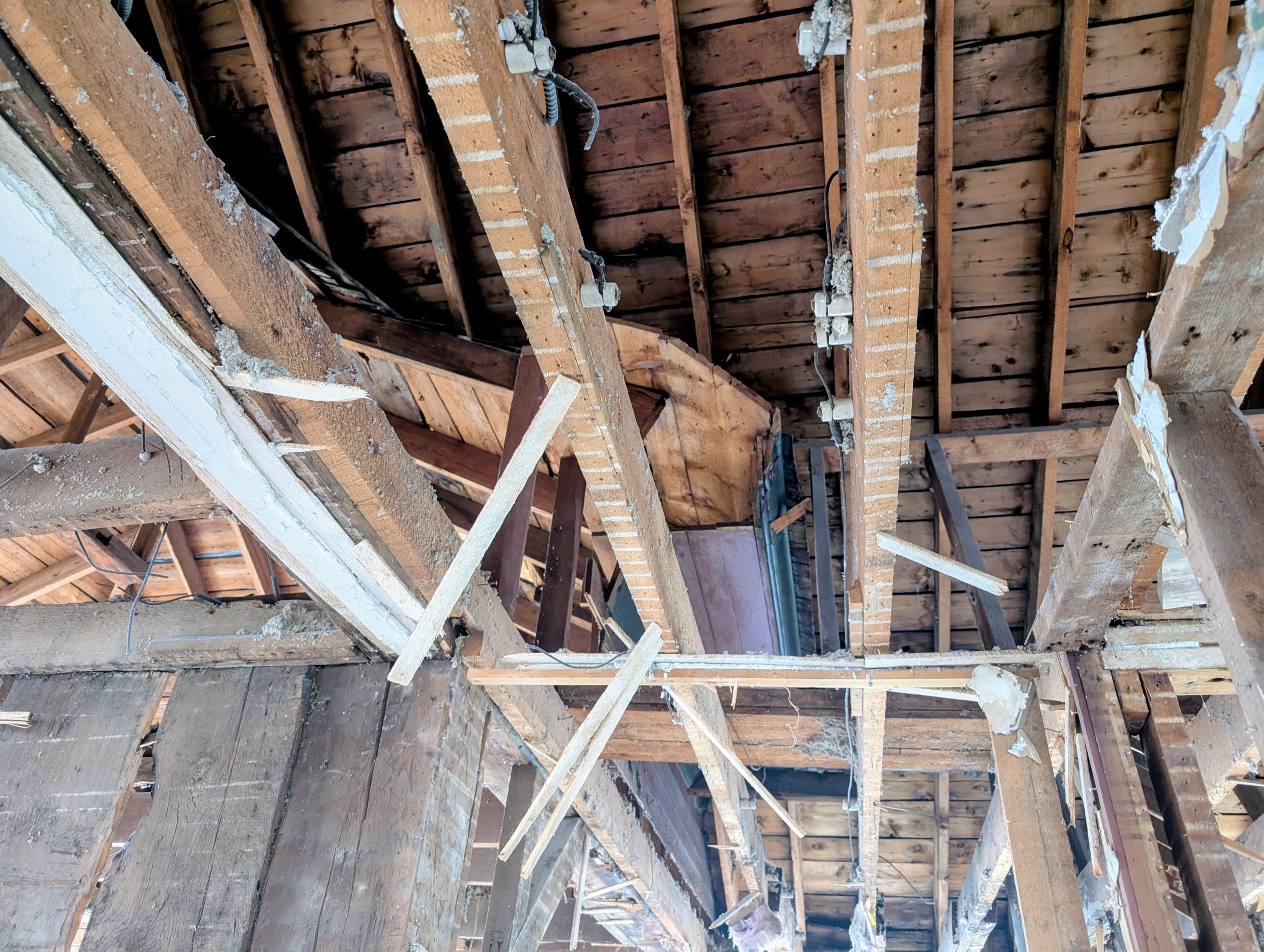 195bea9f-a6d3-4a6c-9424-cb153fe7a16b~1 (1).jpg