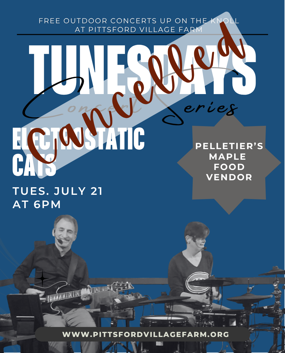 Tunesday Concert: Electrostatic Cats