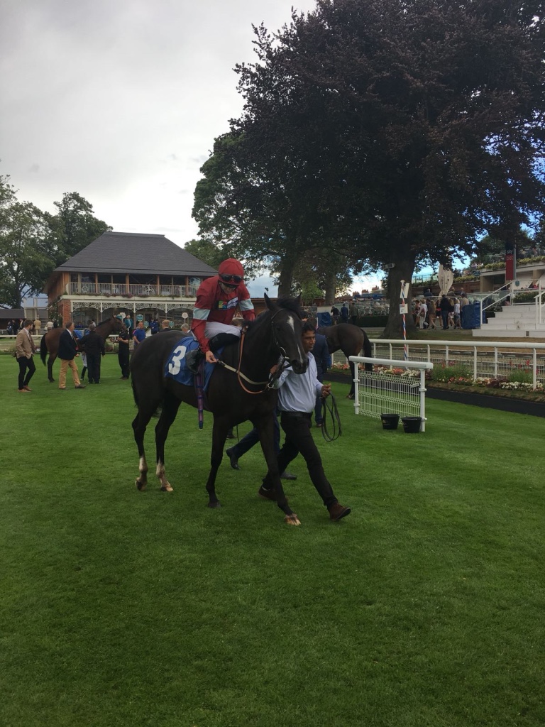 York - 28th July Plus 10 Race