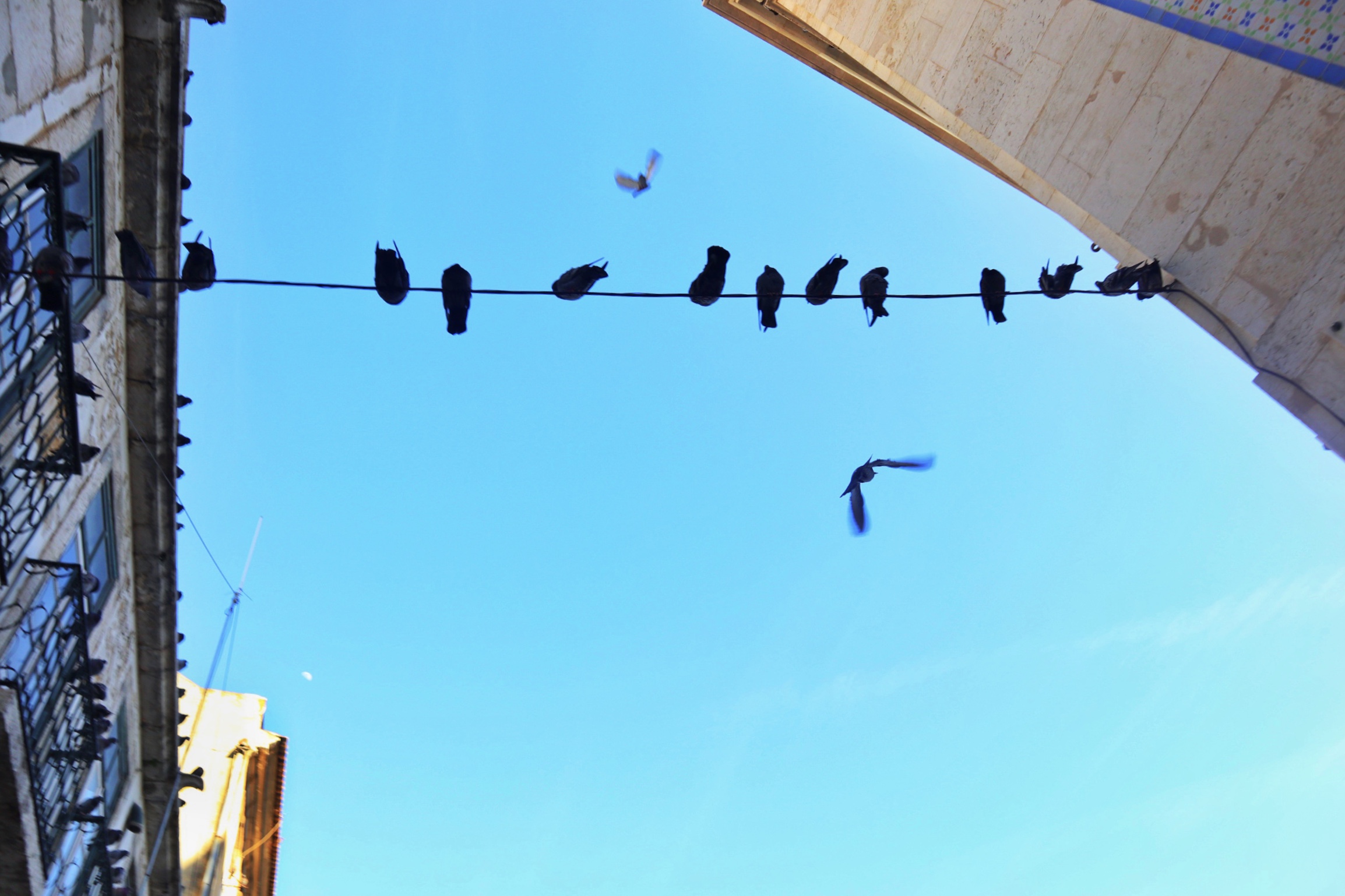 Portugal (1) - Lisbon | Where the Restless Go for a Rest 