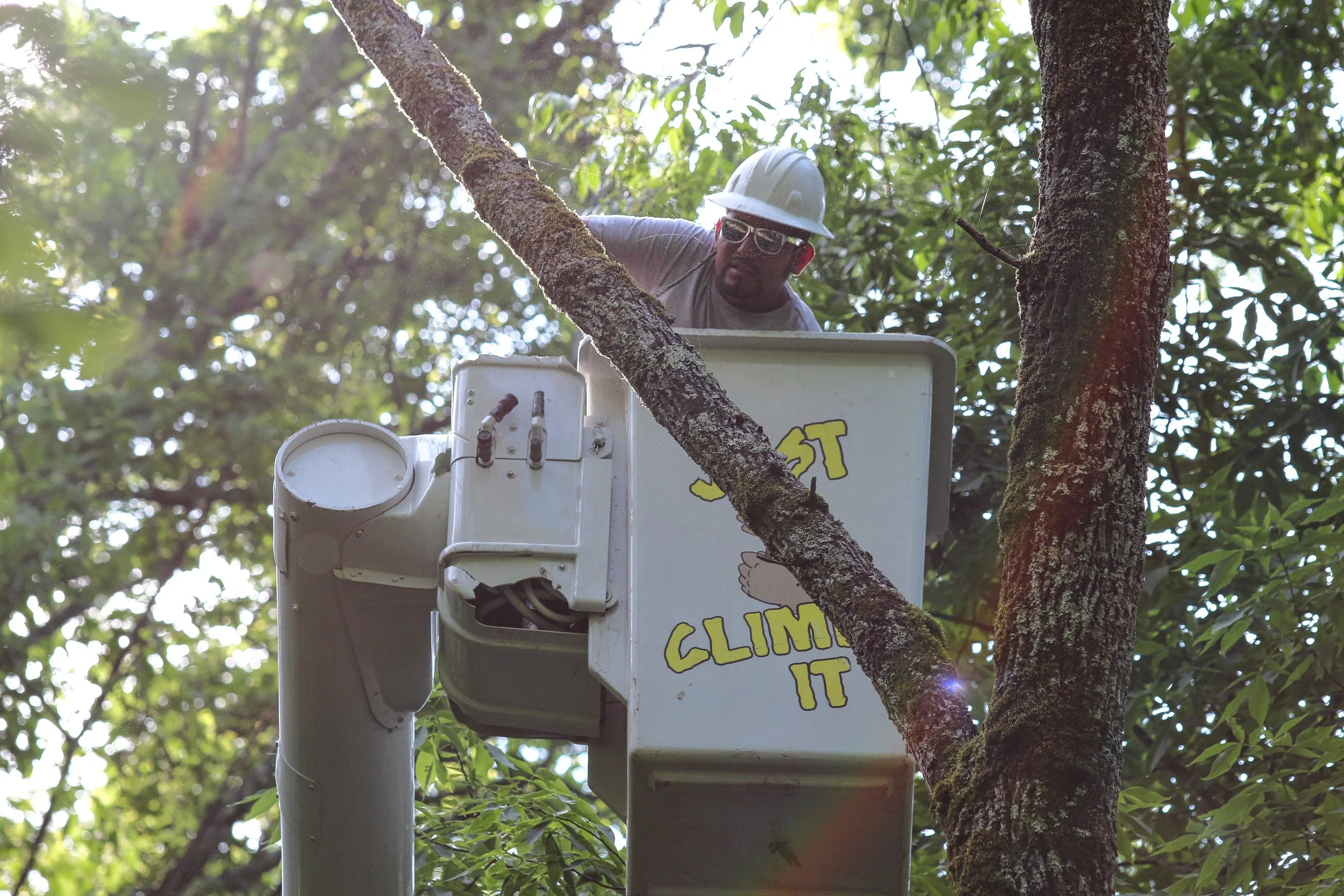 Mencer's Tree Service