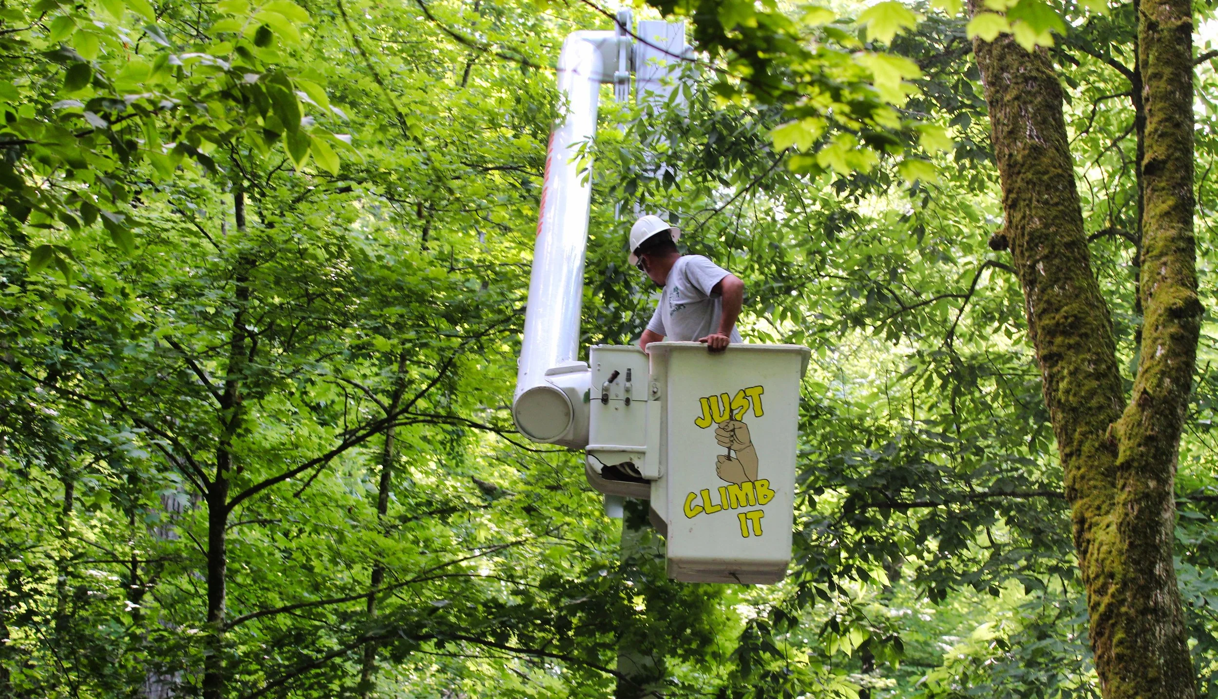 Mencer's Tree Service