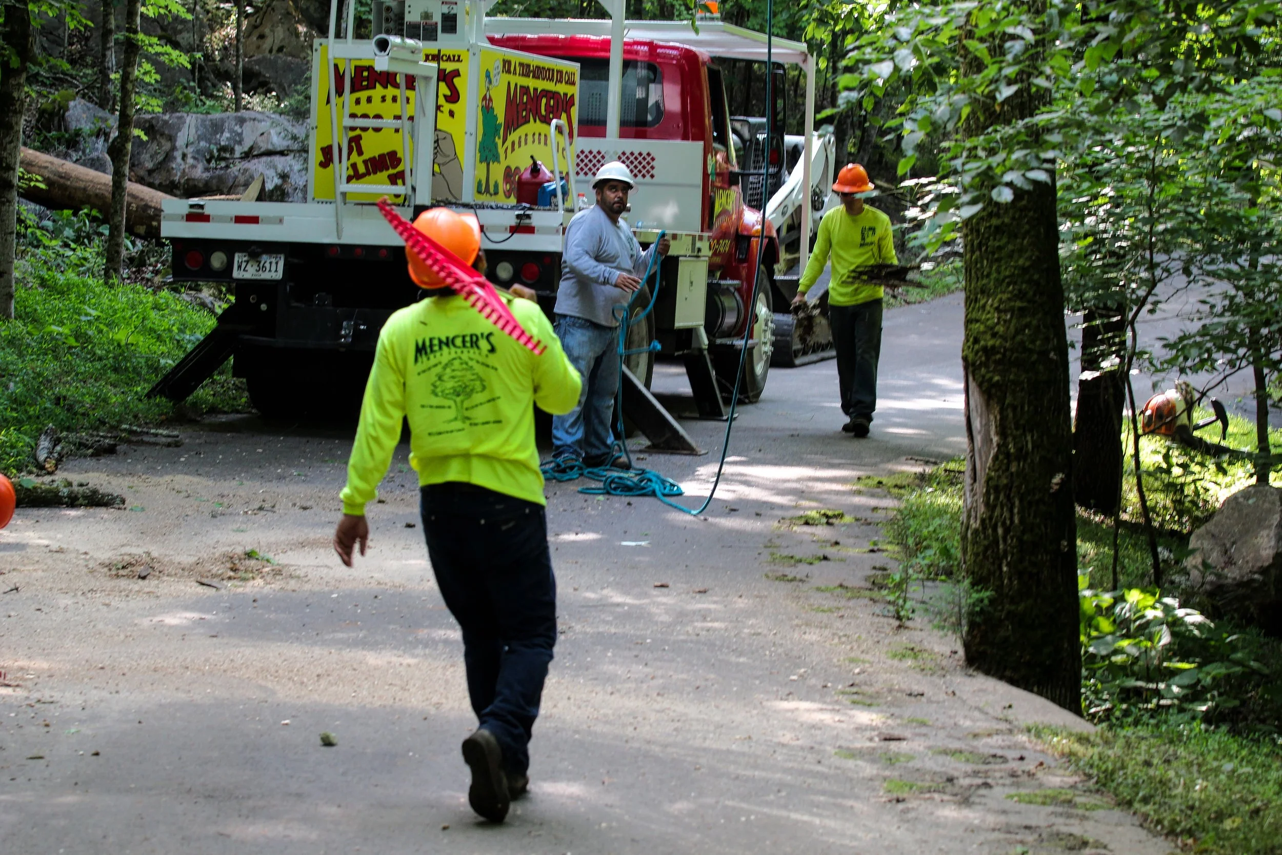 Mencer's Tree Service