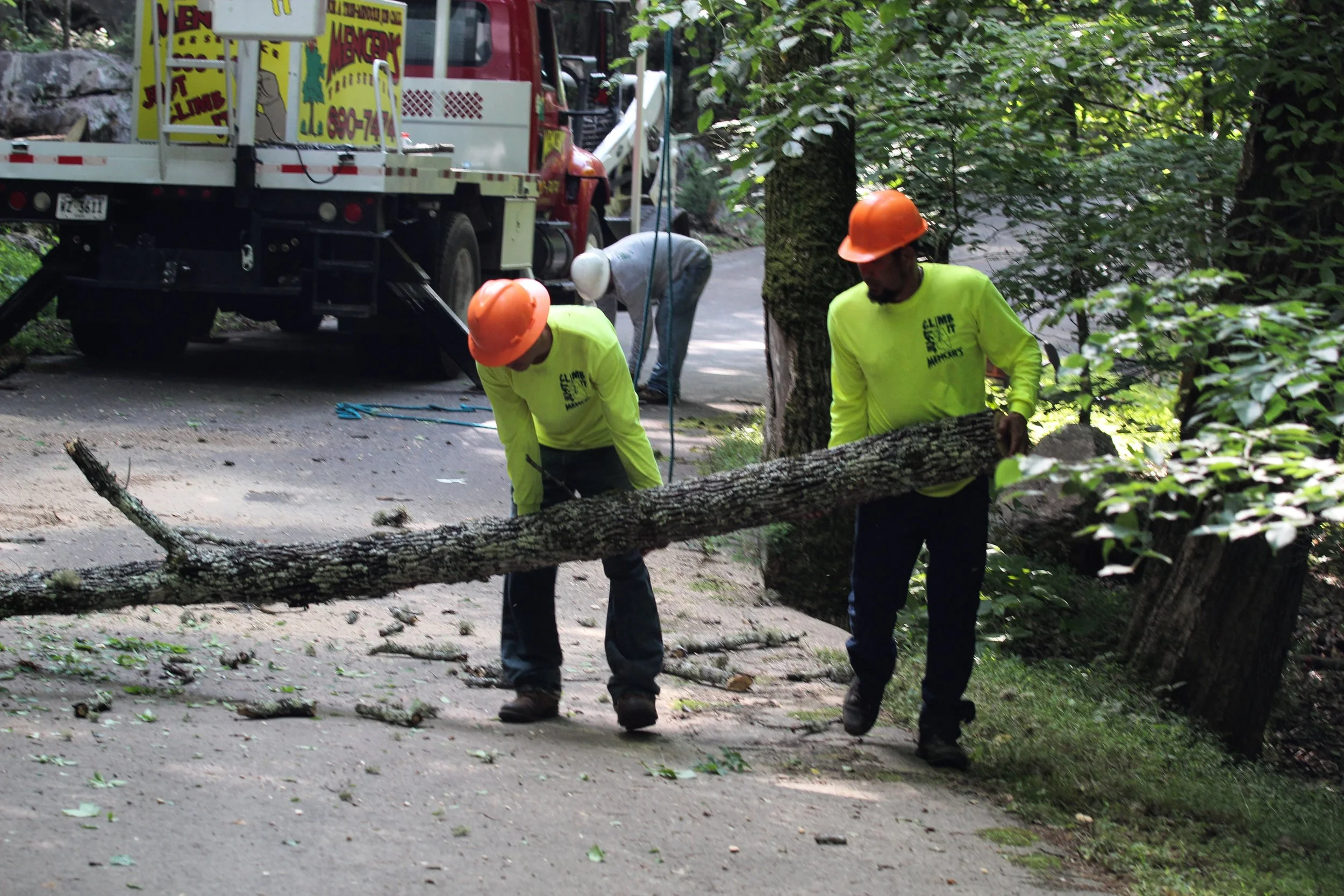 Mencer's Tree Service