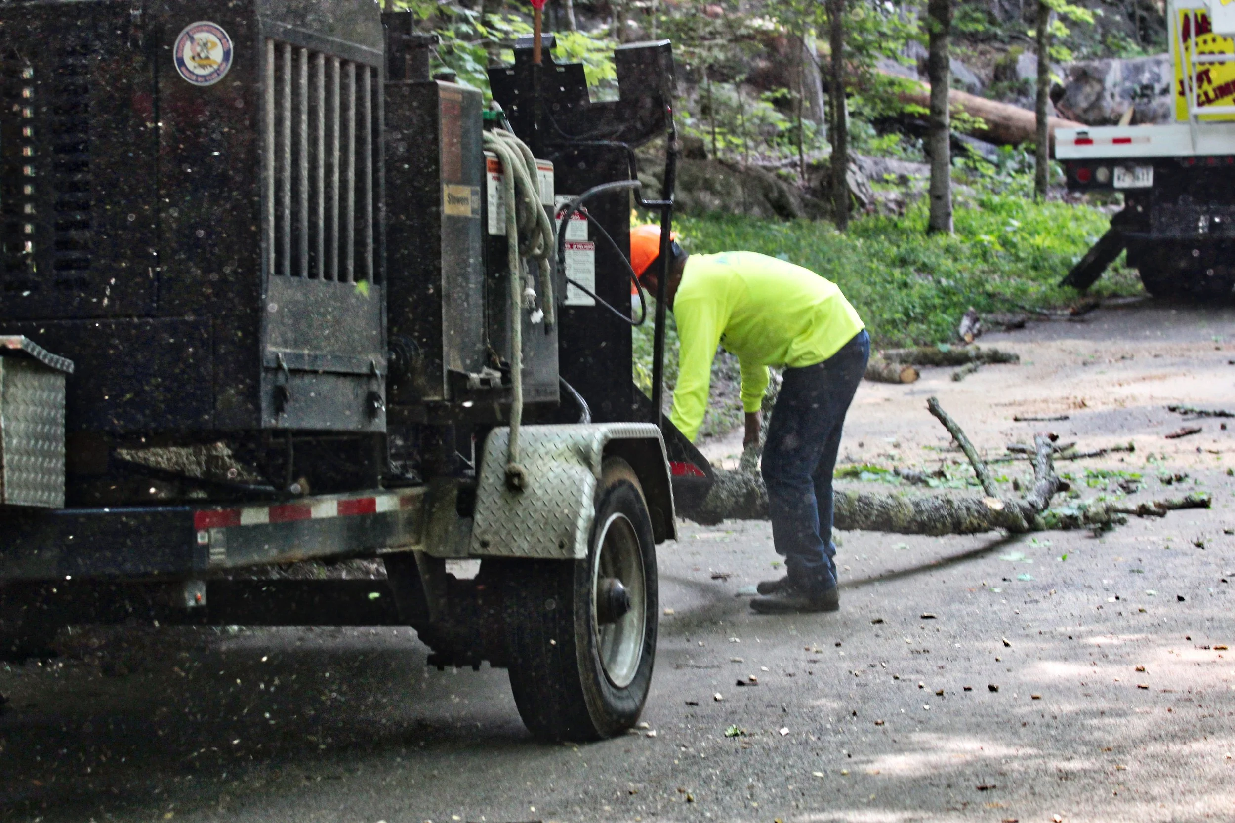 Mencer's Tree Service