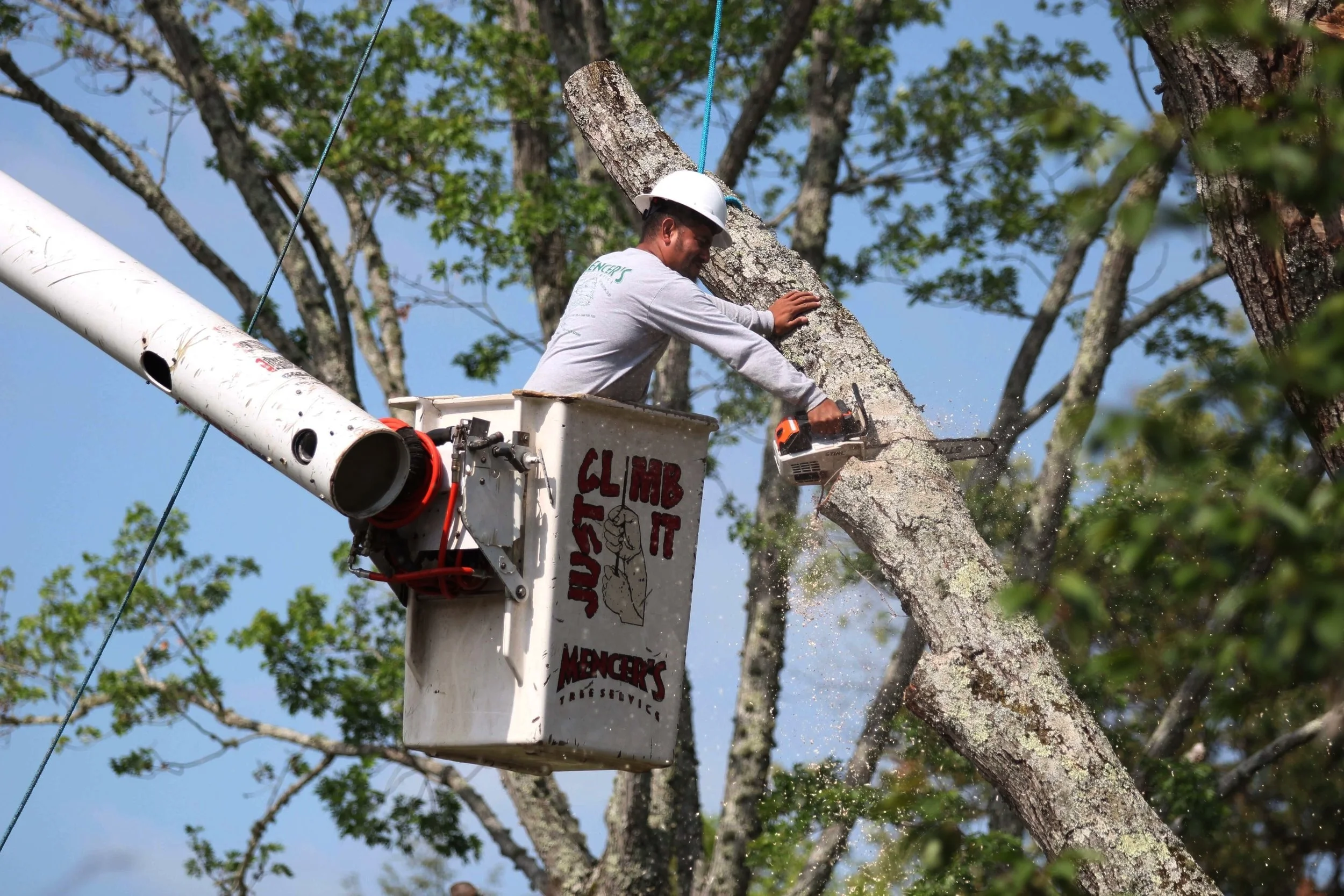 Mencer's Tree Service
