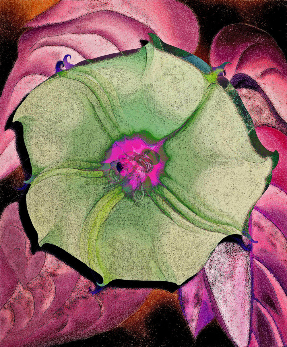 Georgia O'Keeffe