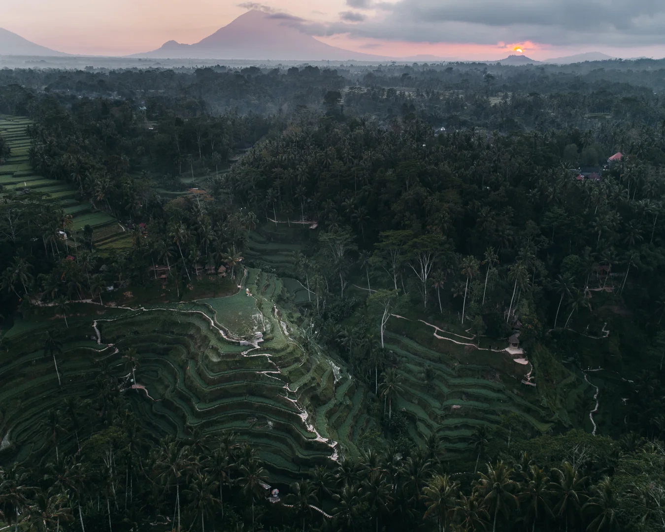 DJI_0022.jpg