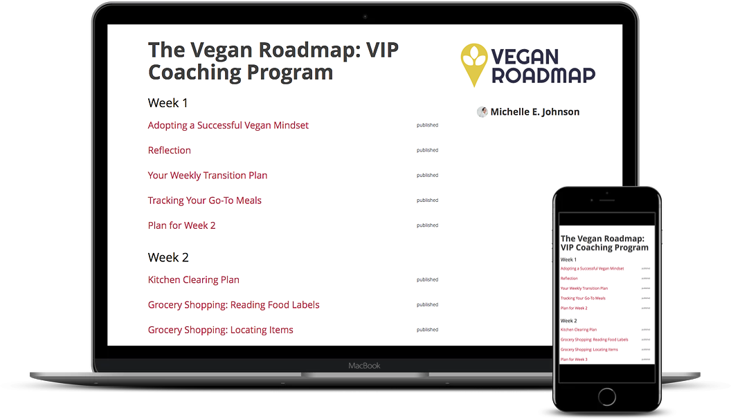 course-preview-image.png
