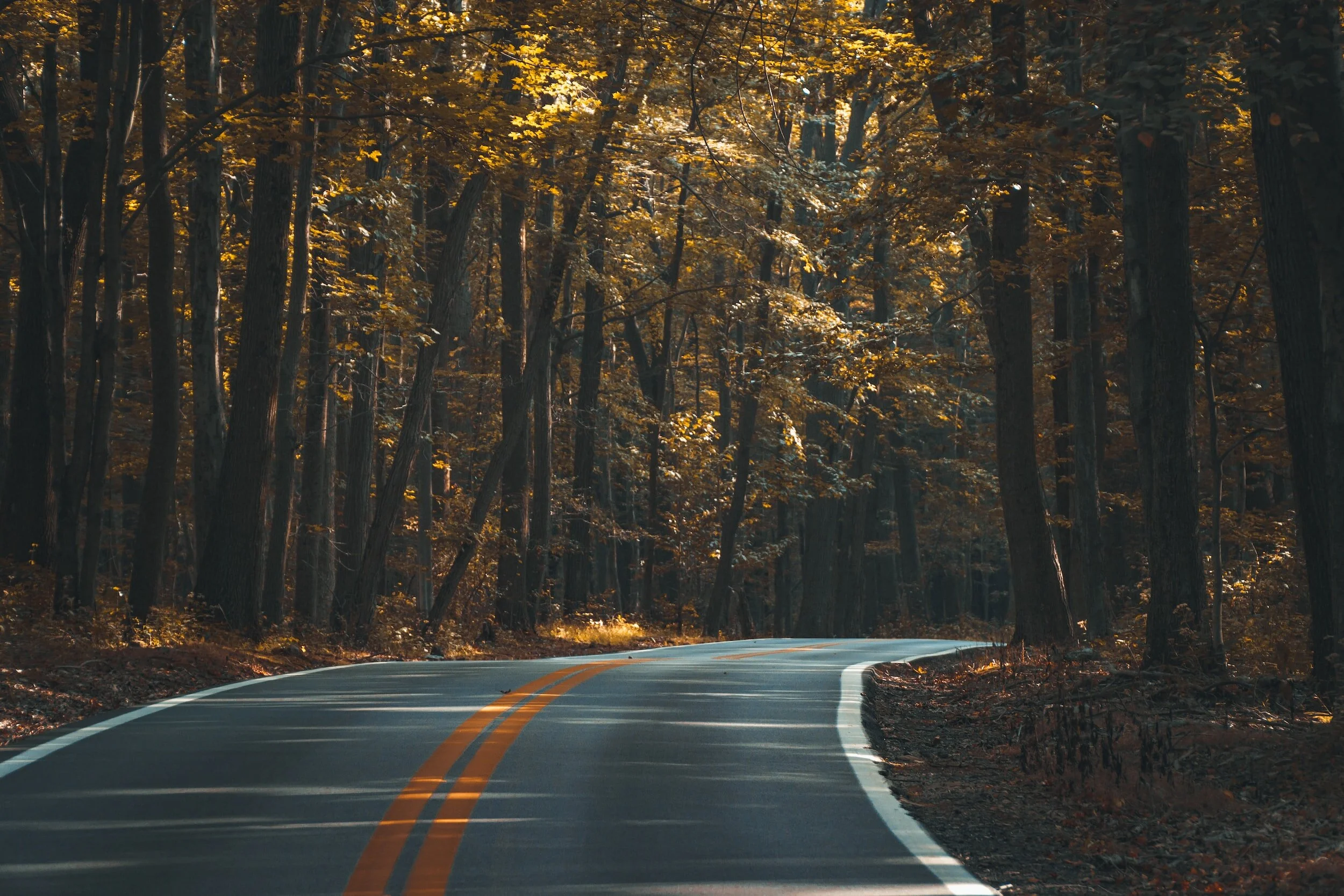 Going Vegan Can Be Hard: 5 Reasons Not to Give Up
