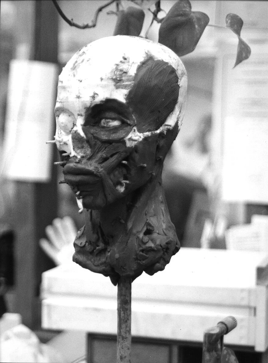 History of Écorché: Contemporary Applications of Écorché