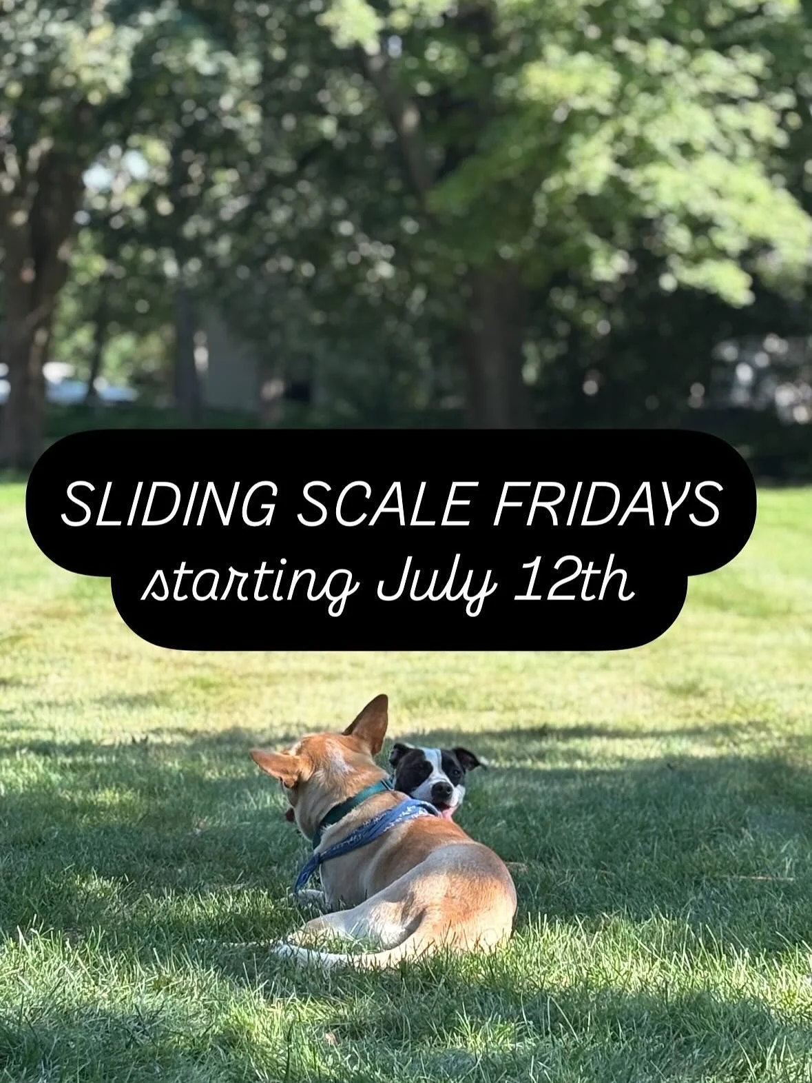 Let&rsquo;s do it!
Sliding Scale Fridays, starting this week!
Gonna offer hour sessions to start - 85 to 125. CASH ONLY - available to all, but no shows/last minute cancellations will get ya blocked from booking in the future 🫶 I&rsquo;ll be posting